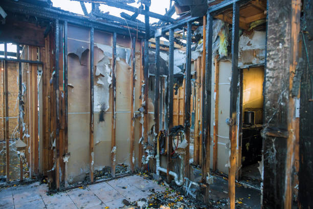 Professional Fire Damage Removal technician working in Stephens City, VA